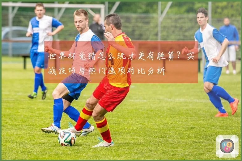 世界杯竞猜怎么玩才更有胜算？实战技巧与热门选项对比分析