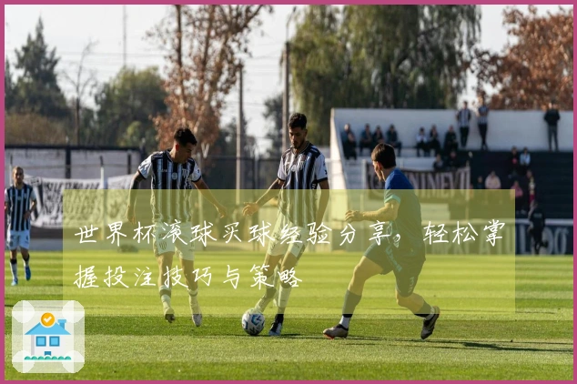 世界杯滚球买球经验分享，轻松掌握投注技巧与策略