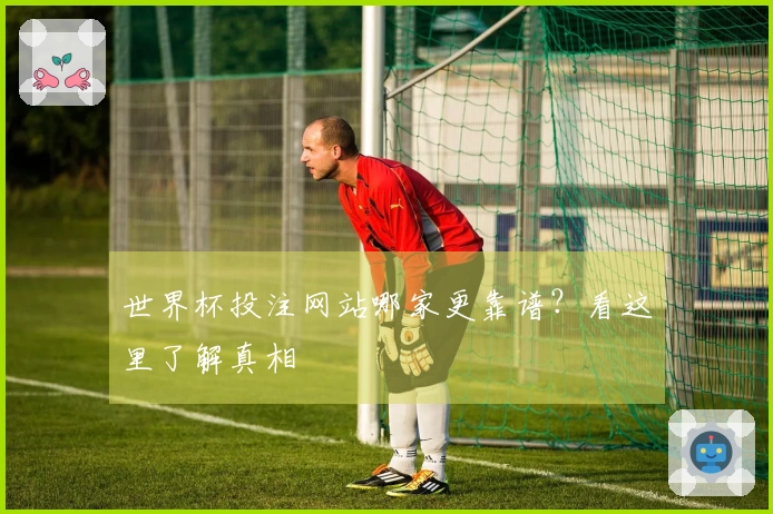 世界杯投注网站哪家更靠谱？看这里了解真相