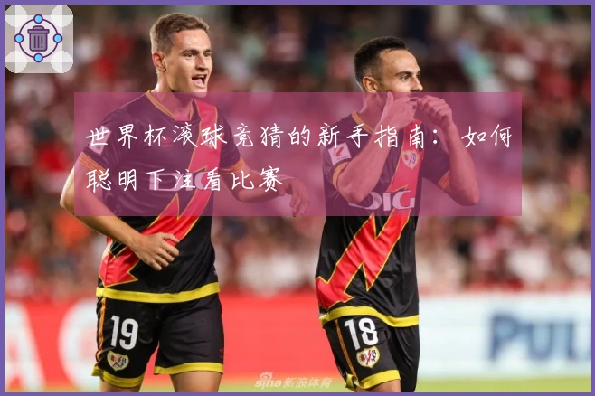 世界杯滚球竞猜的新手指南：如何聪明下注看比赛