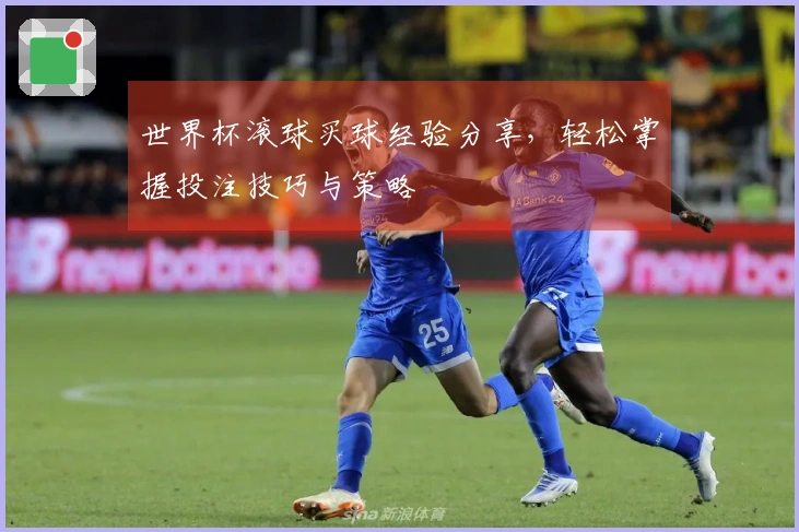 世界杯滚球买球经验分享，轻松掌握投注技巧与策略